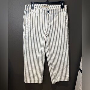 Liverpool Navy and White Striped Pants